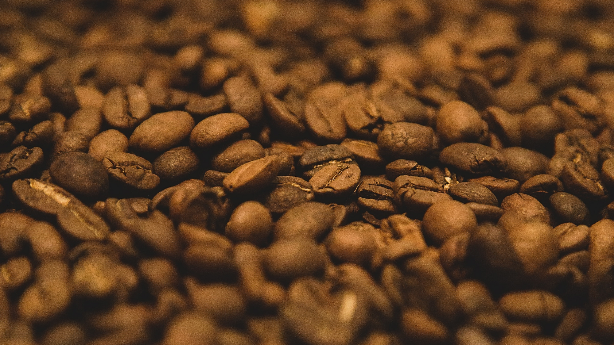 Image displays coffee beans taken by @visualsbyafrah
