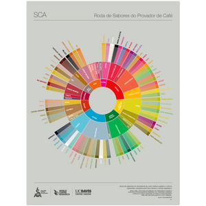 Portuguese Coffee Taster's Flavor Wheel Poster -SCA