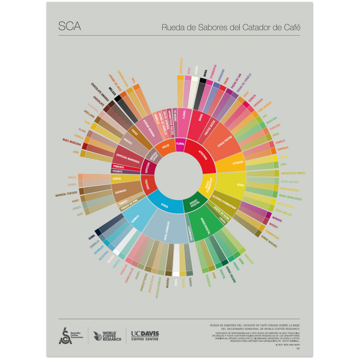Spanish - The Coffee Taster's Flavor Wheel Poster -SCA
