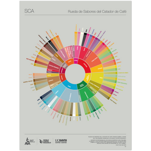 Spanish - The Coffee Taster's Flavor Wheel Poster -SCA