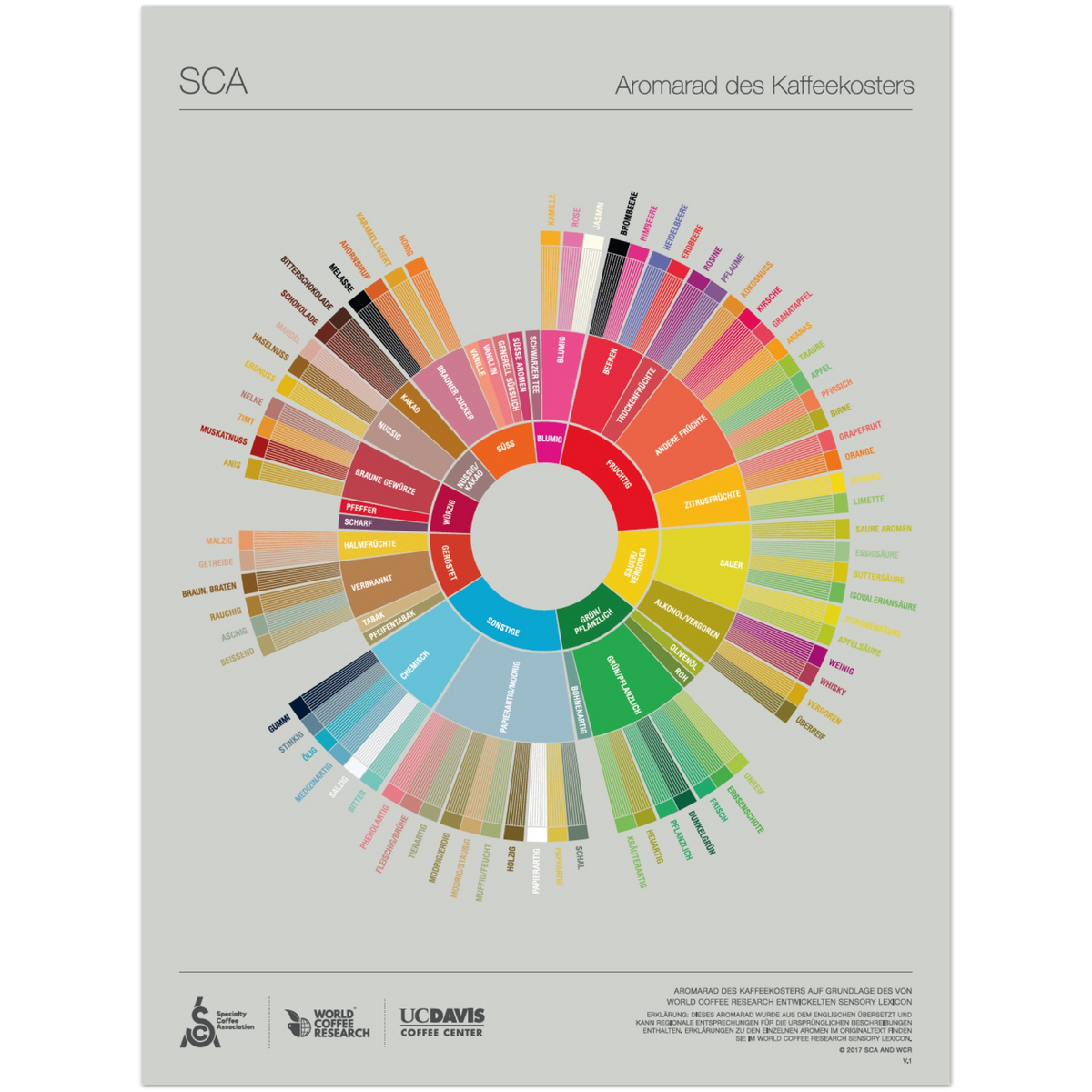 German - The Coffee Taster's Flavor Wheel Poster - SCA