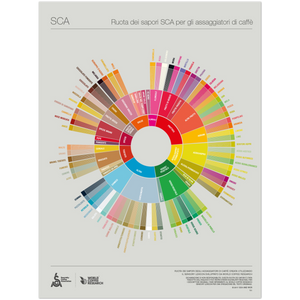 Italian - Coffee Taster's Flavor Wheel Poster - SCA