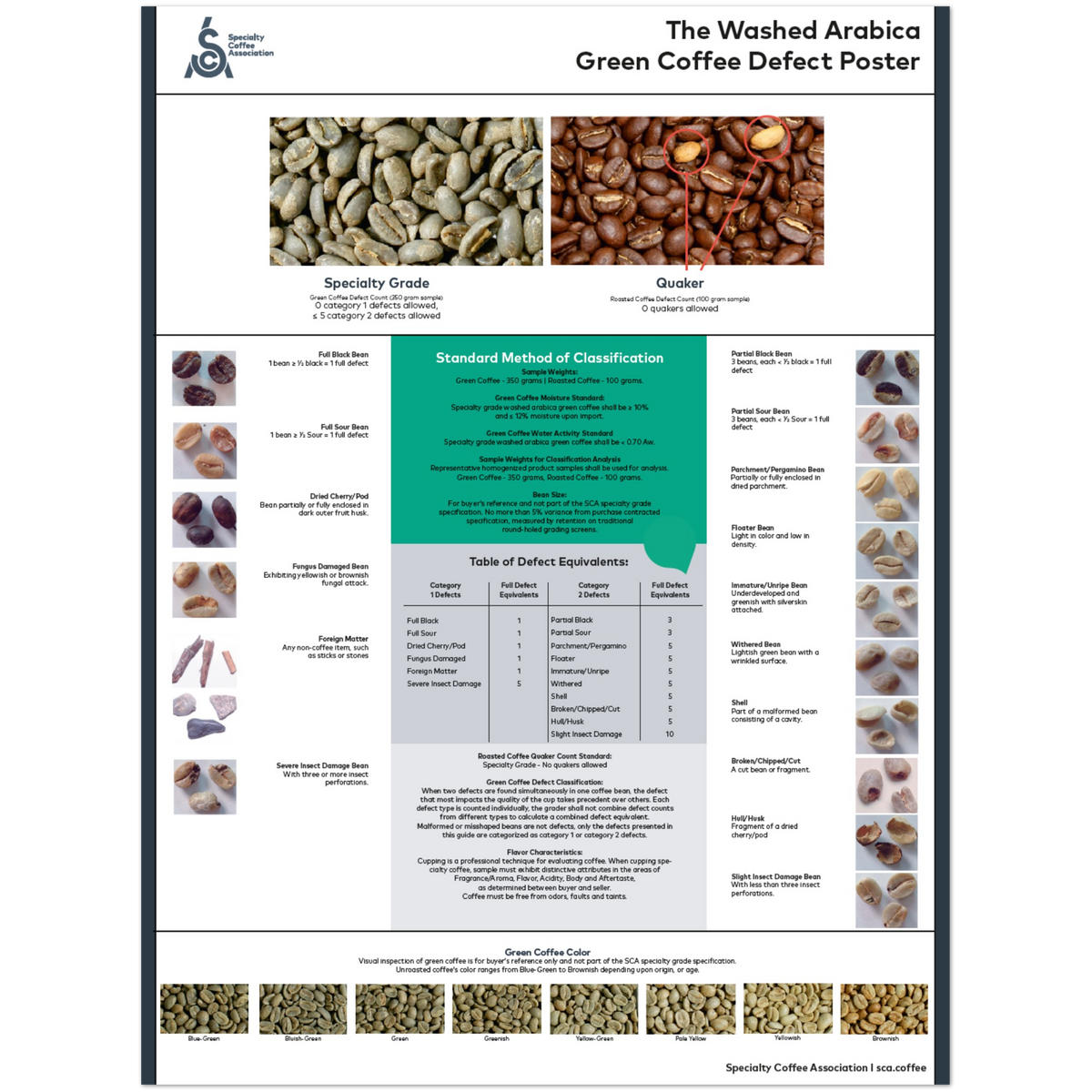 Arabica Poster - English - SCA