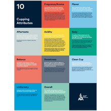 Cupping Attributes Poster - SCA