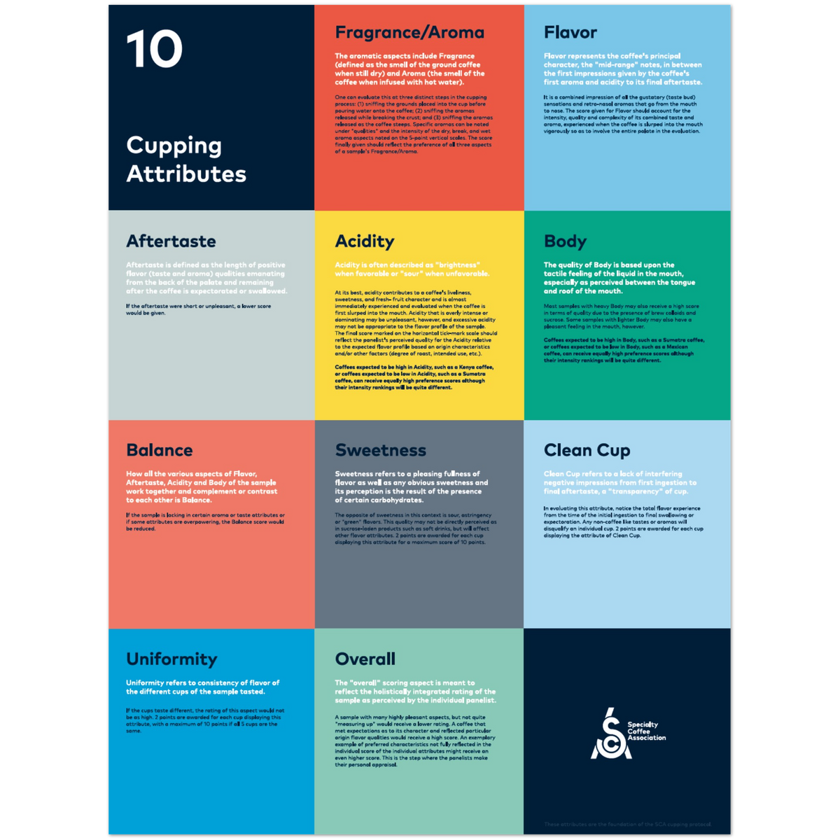 Cupping Attributes Poster - SCA