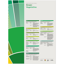 Flavor Perception in Coffee – Green Veg -SCA