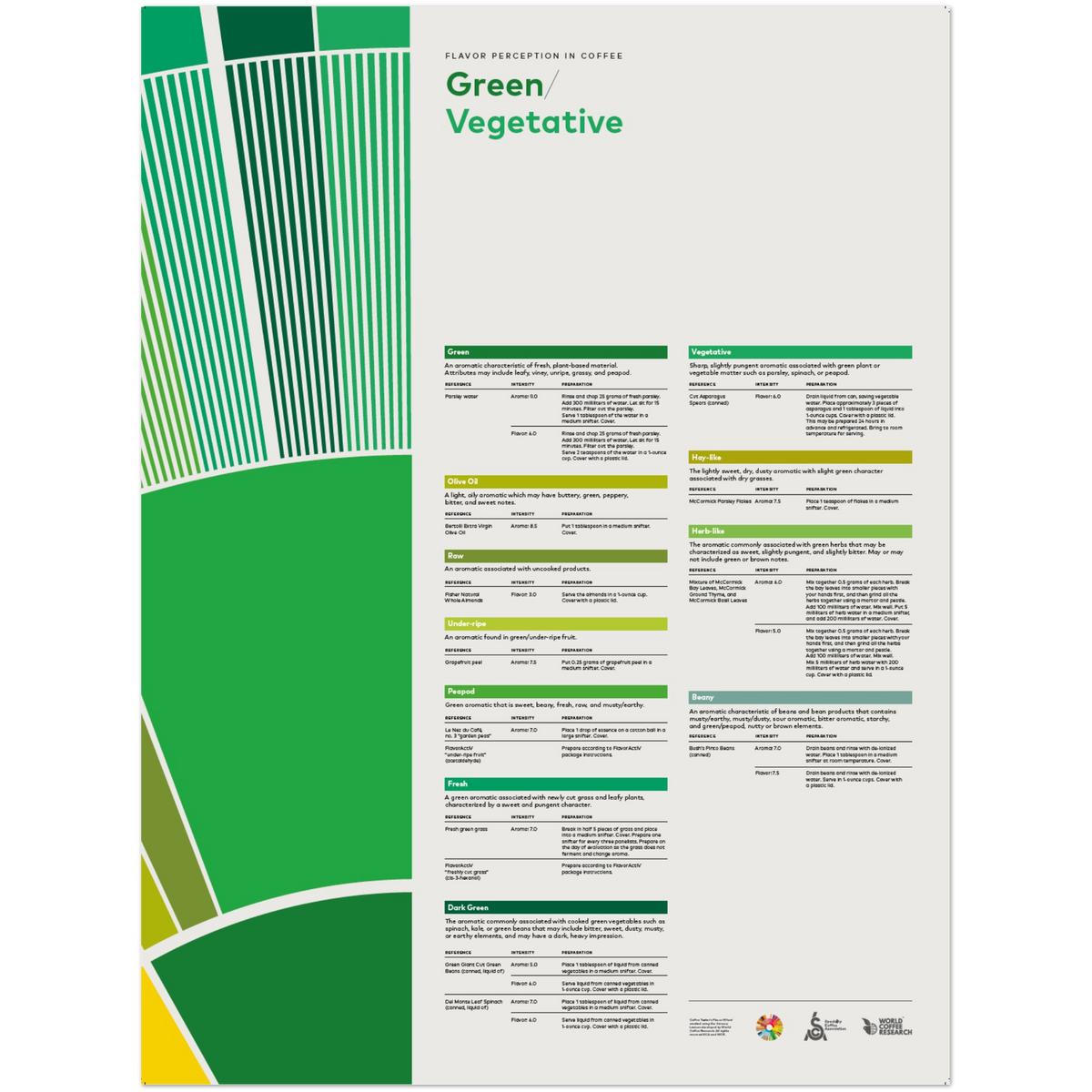 Flavor Perception in Coffee – Green Veg -SCA