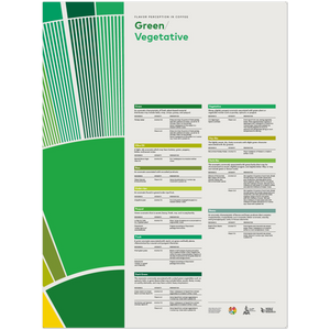 Flavor Perception in Coffee – Green Veg -SCA