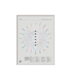 Coffee Systems Map Poster - SCA