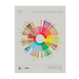 Italian - Coffee Taster's Flavor Wheel Poster - SCA