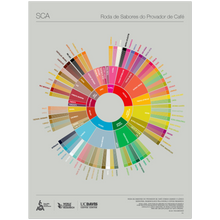 Portuguese Coffee Taster's Flavor Wheel Poster -SCA