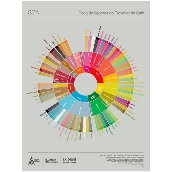 SCA - Specialty Coffee Association