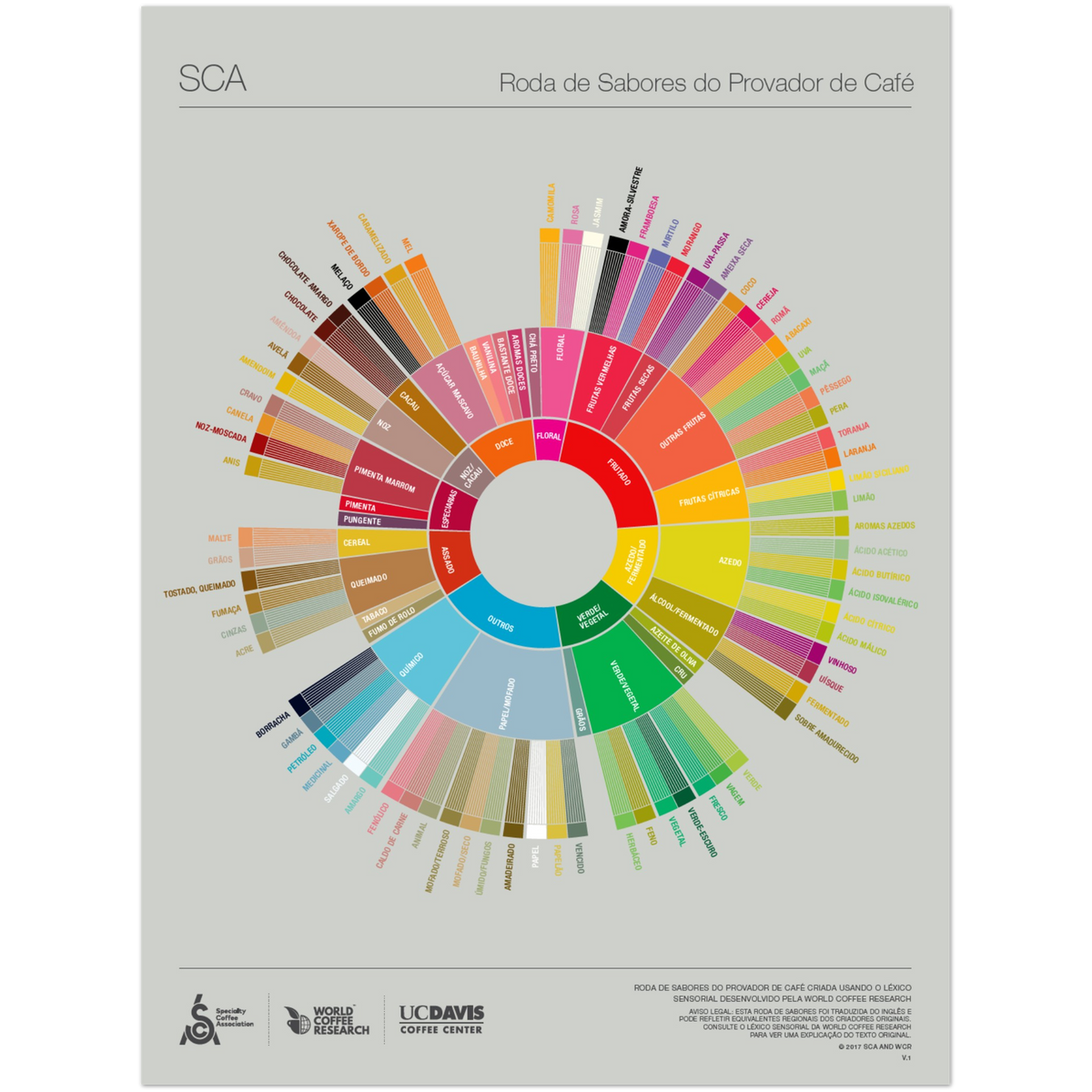 Portuguese Coffee Taster's Flavor Wheel Poster -SCA