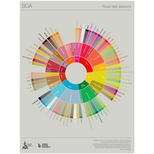 French - Coffee Taster's Flavor Wheel Poster -SCA