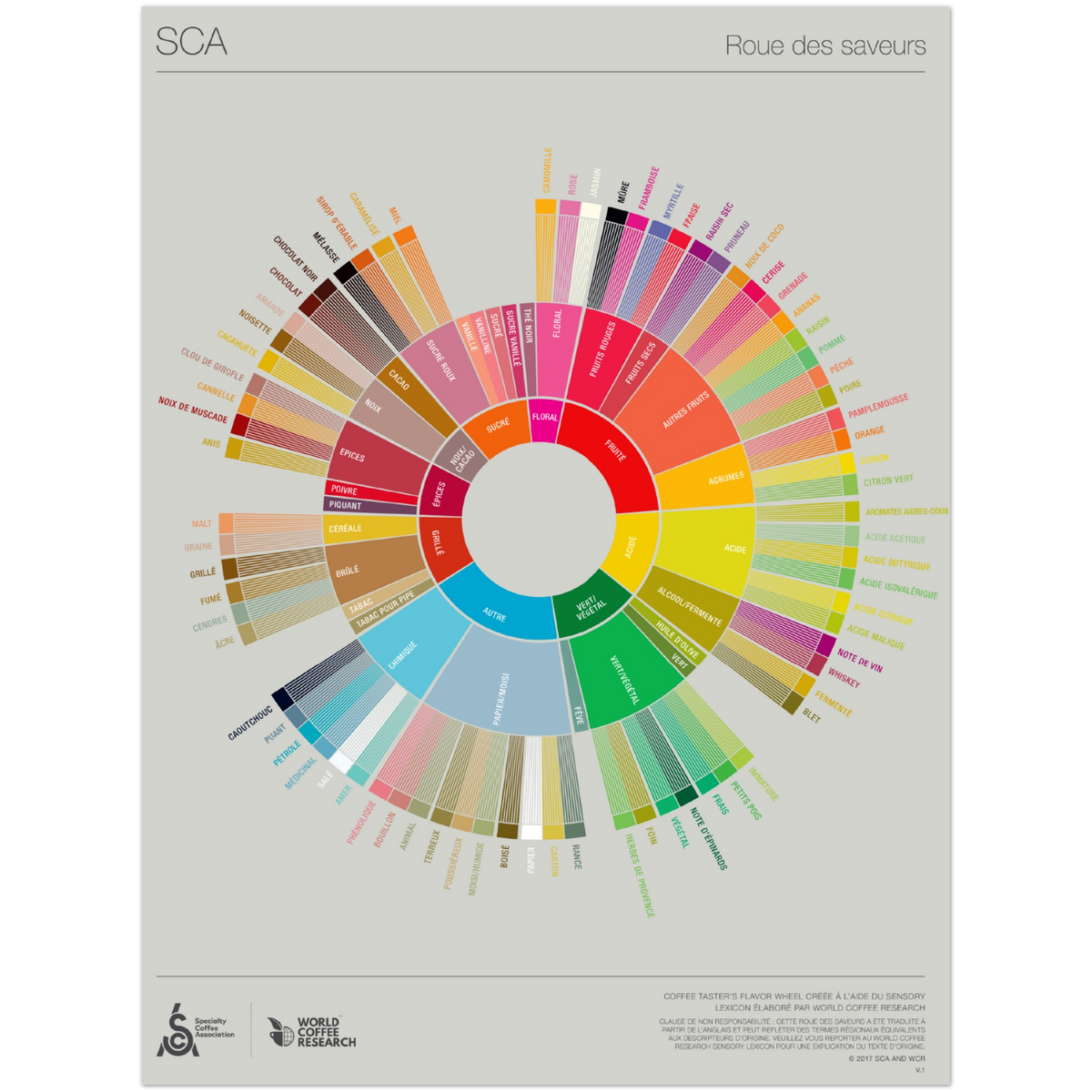 French - Coffee Taster's Flavor Wheel Poster -SCA