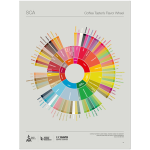English -The Coffee Taster's Flavor Wheel Poster -SCA